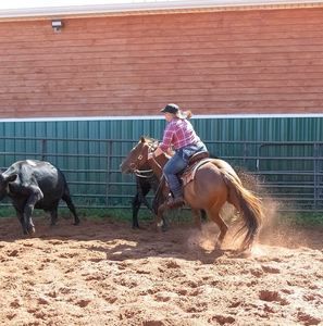 Meet your Posher, Maggie